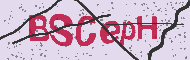 Código CAPTCHA