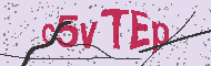 Código CAPTCHA